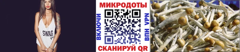KRAKEN ссылка  Приозерск  Псилоцибиновые грибы мицелий 